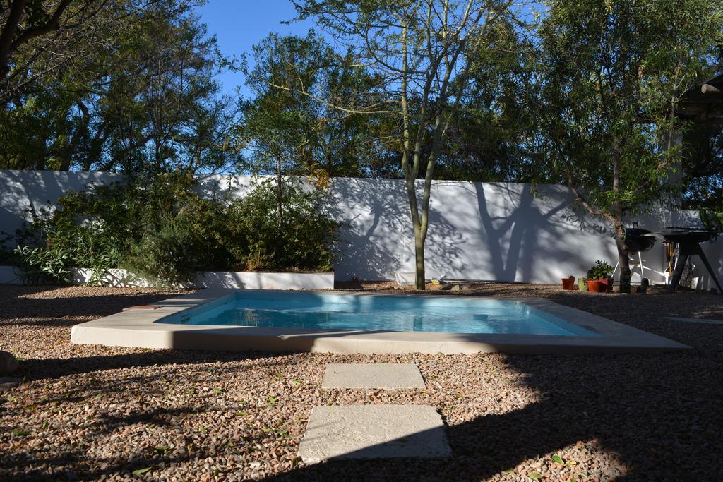 פרינס אלברט Gecko Cottages מראה חיצוני תמונה
